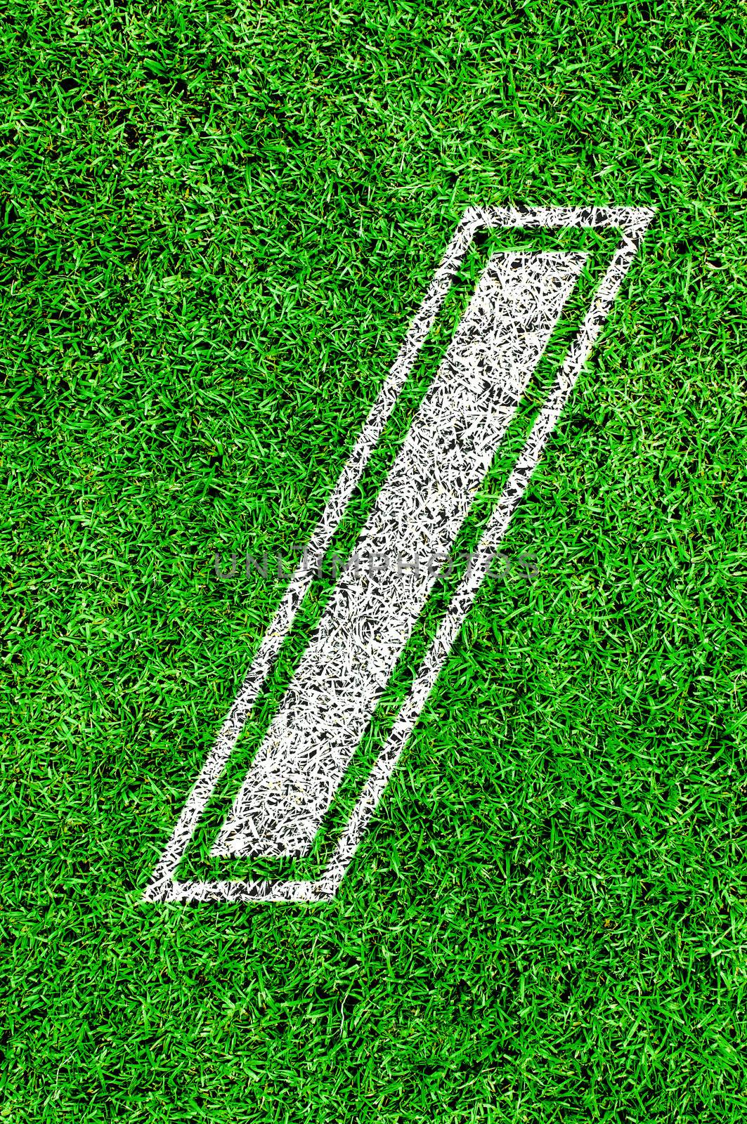 White line number on green grass