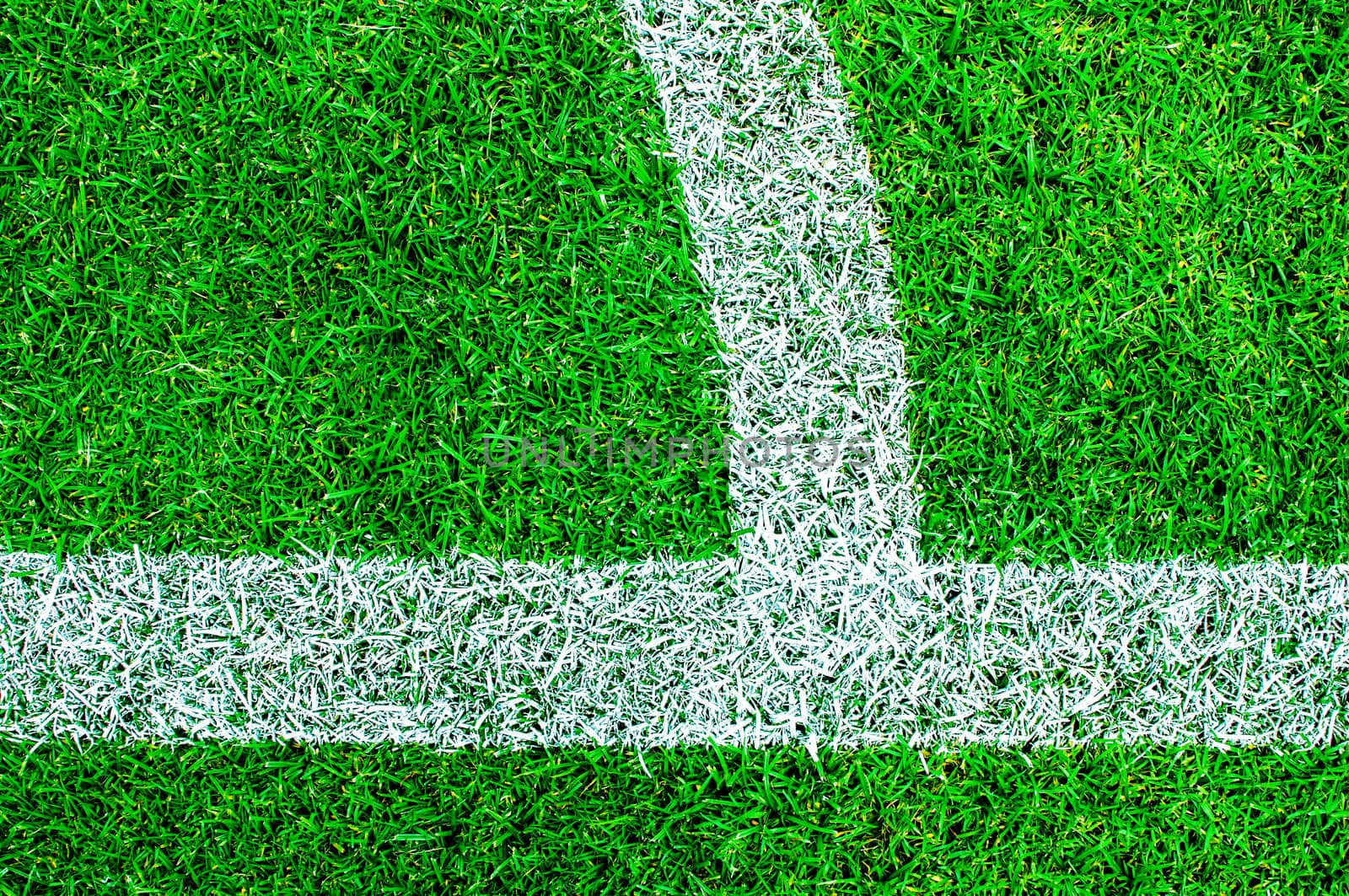 White line on the green soccer field by TanawatPontchour