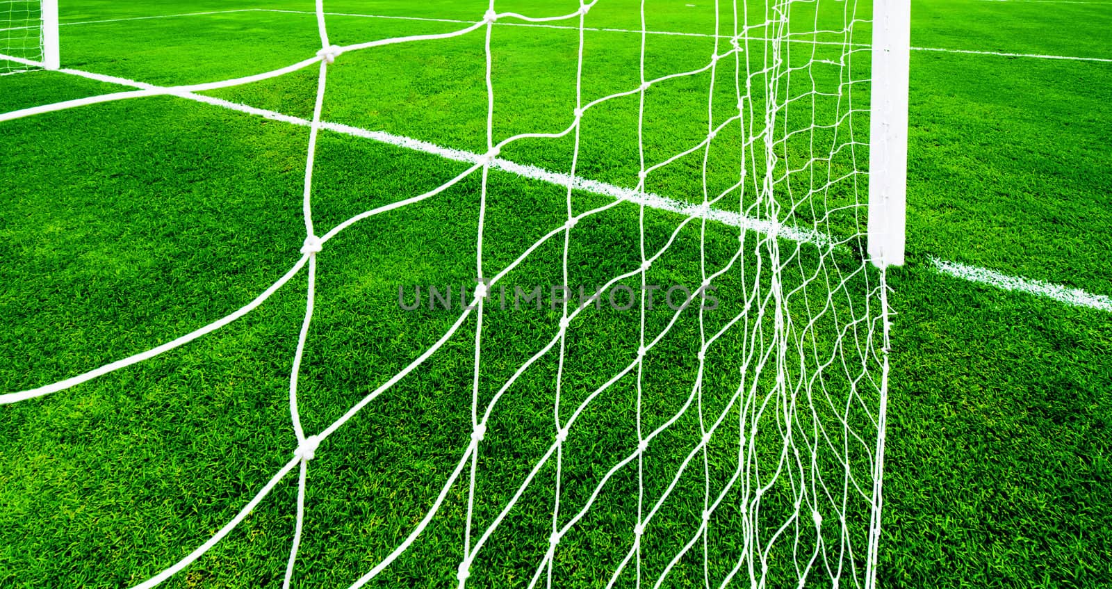 soccer net on green grass, view from behide the goal line