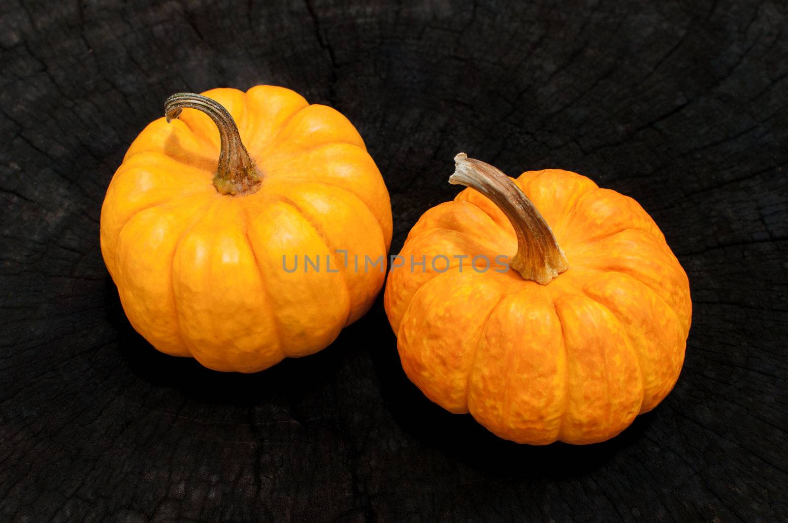 orange pumpkins lay on a wooden background