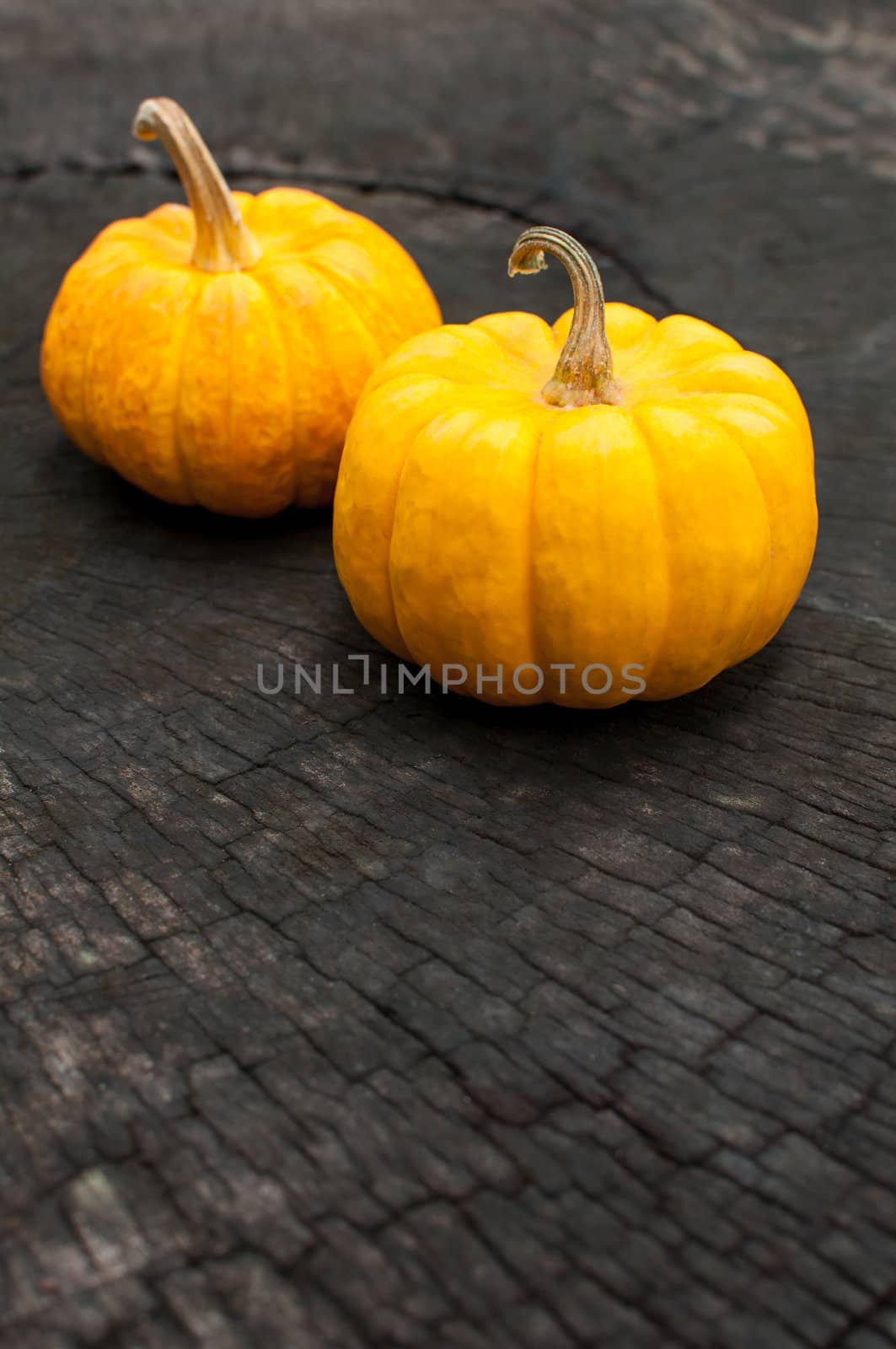 orange pumpkins lay on a wooden background