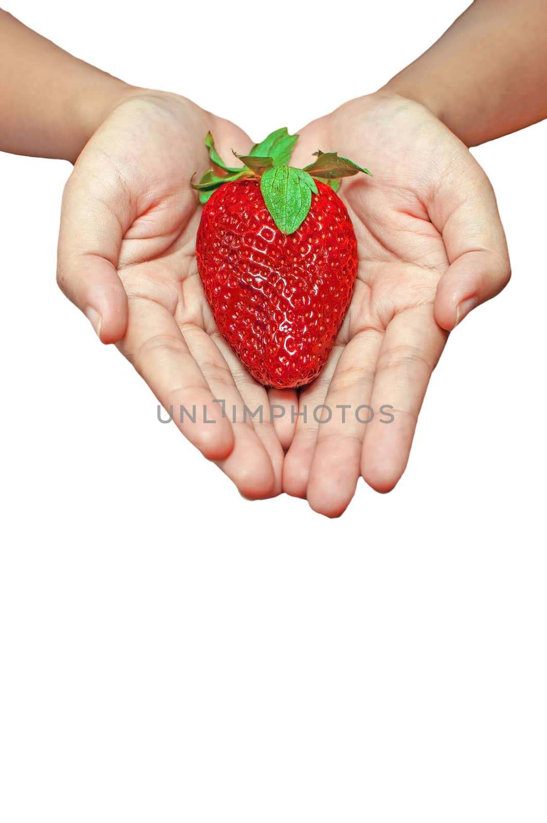 Woman palm with big strawberry isolated