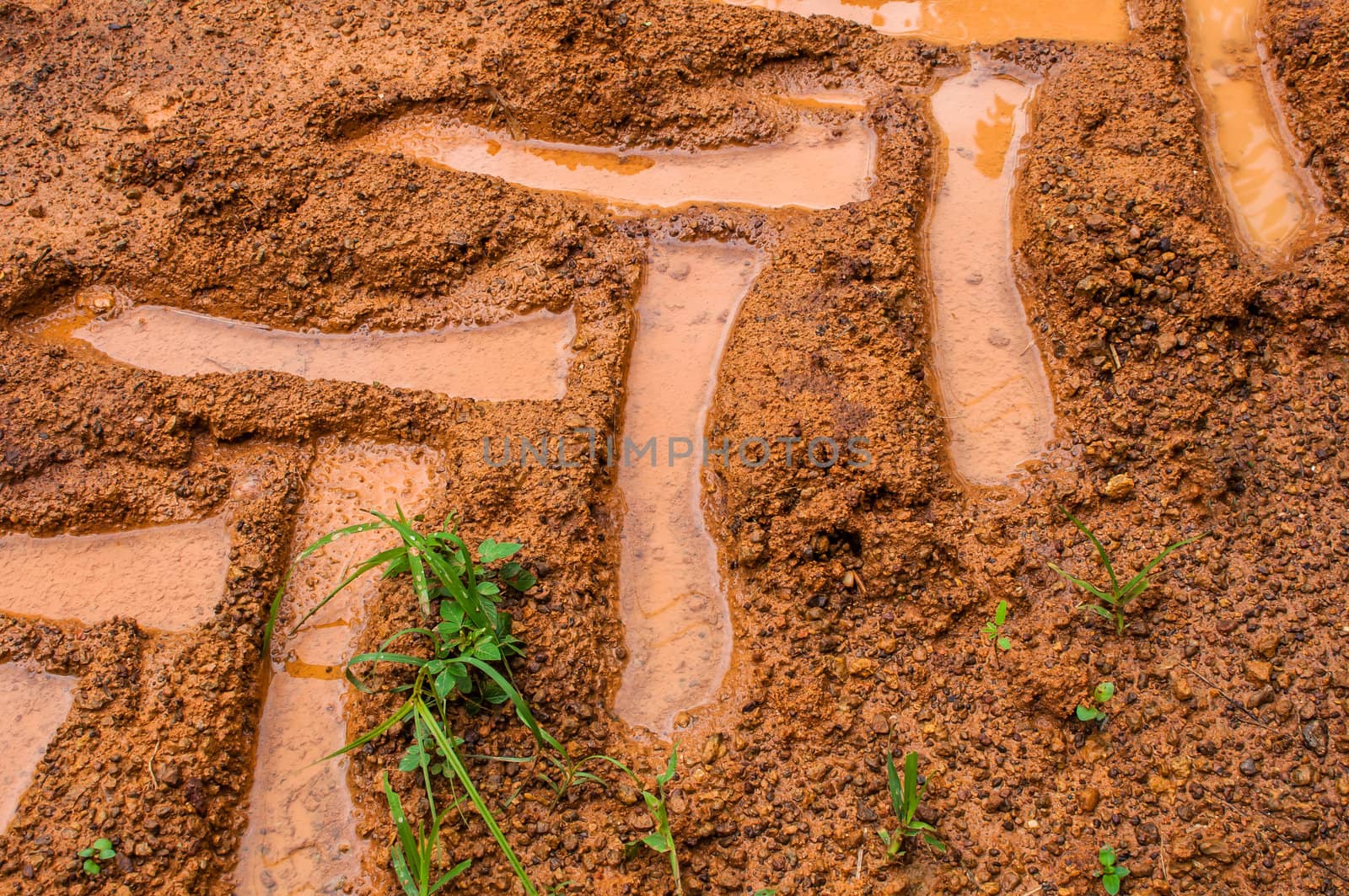 Tractor trail closeup on the soil by TanawatPontchour