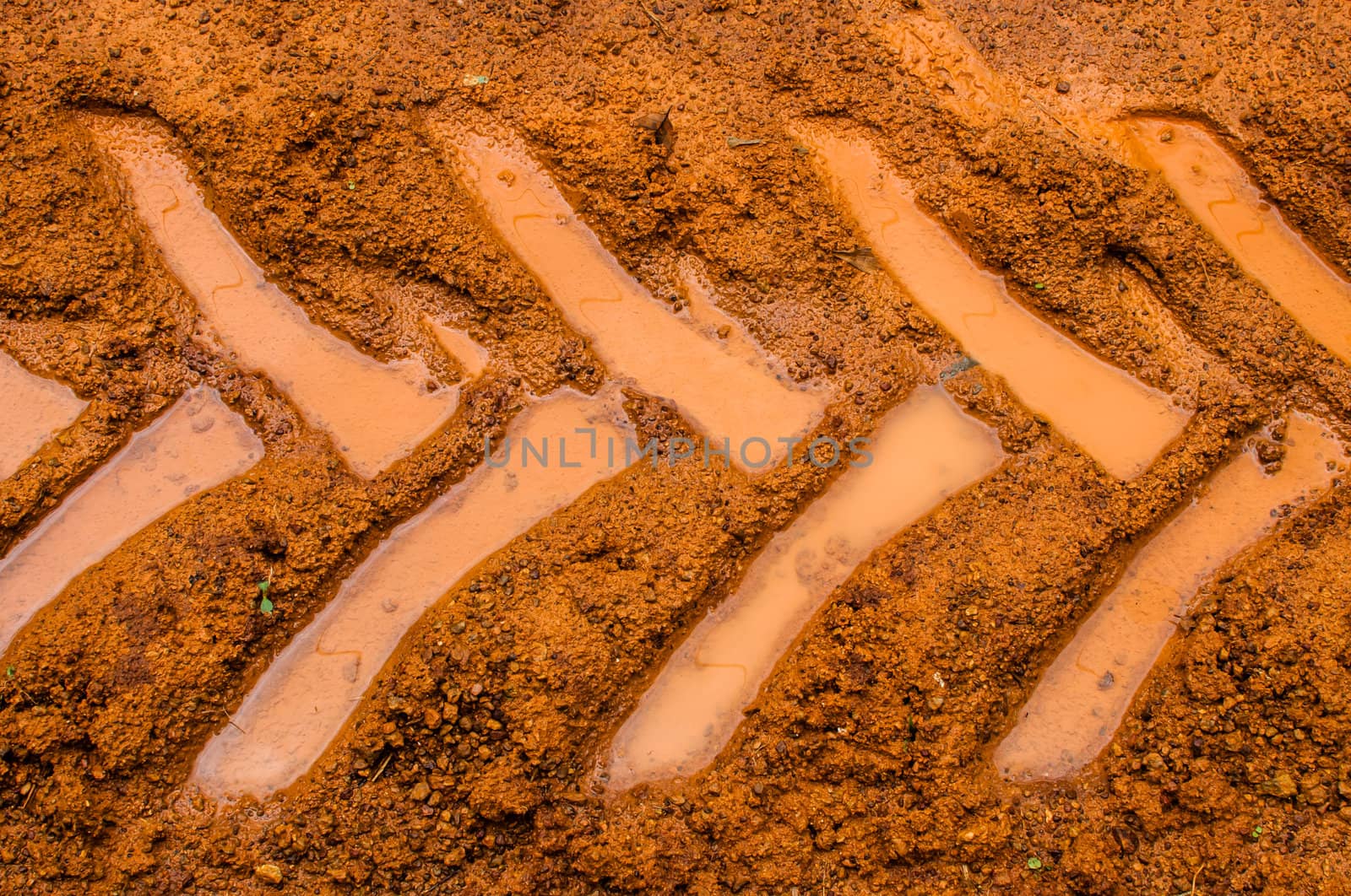 Tractor trail closeup on the muddy ground  after rain by TanawatPontchour