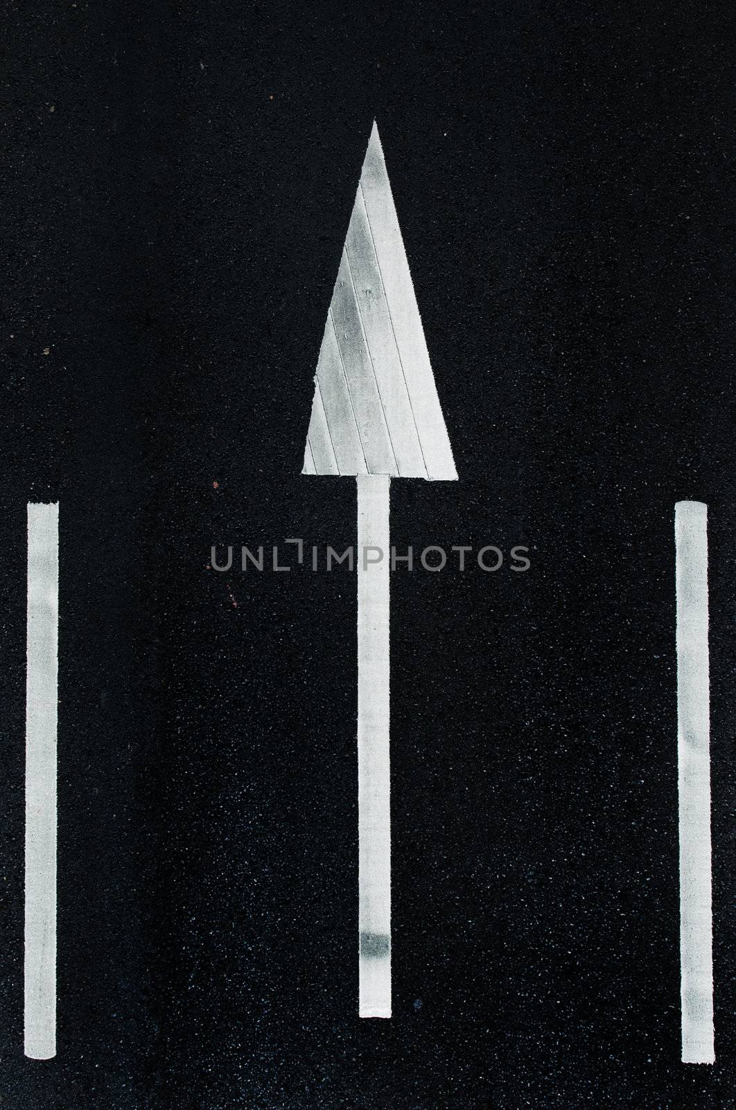 road marking: white arrows and rectangles on the dark asphalt road.