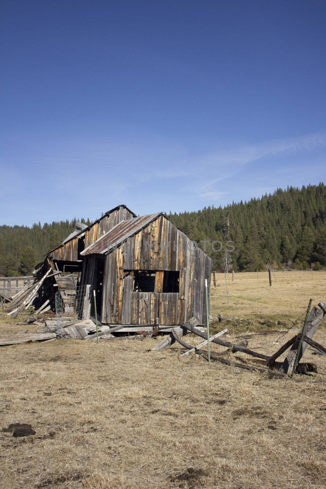 Old barn in Sierraville California by jeremywhat