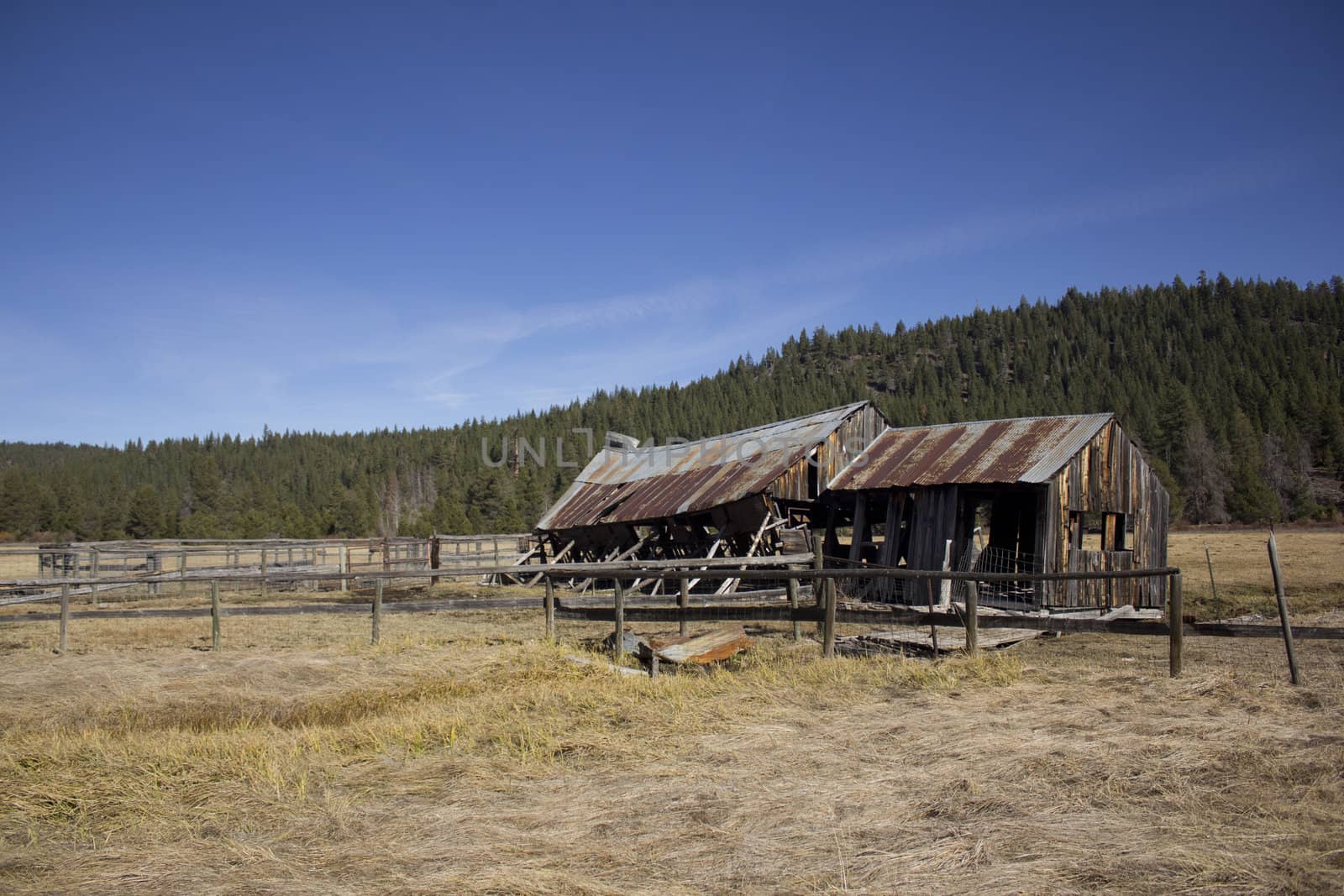 an old barn that has seen life come and go in Sierraville California.