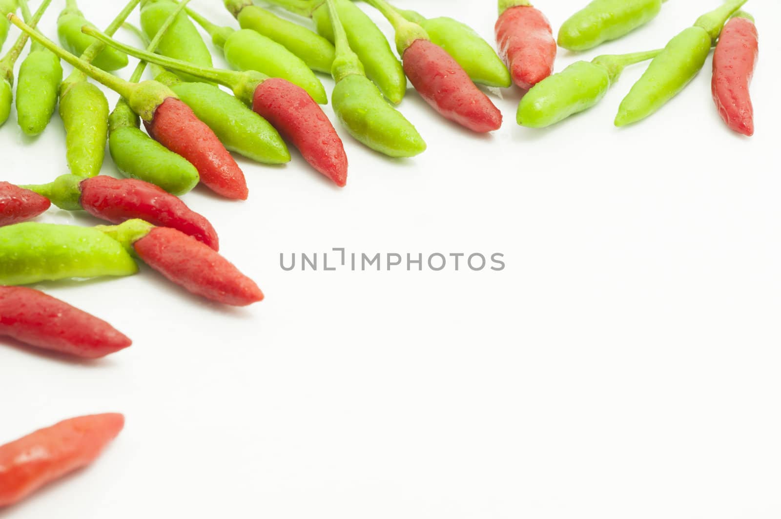 red and green chilli background by TanawatPontchour