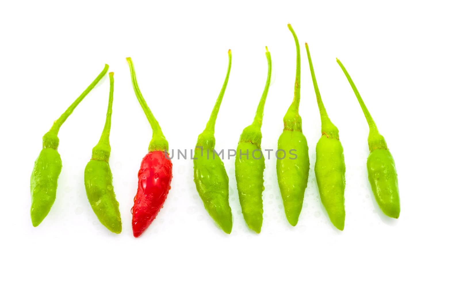 Red chilli among green chilli by TanawatPontchour