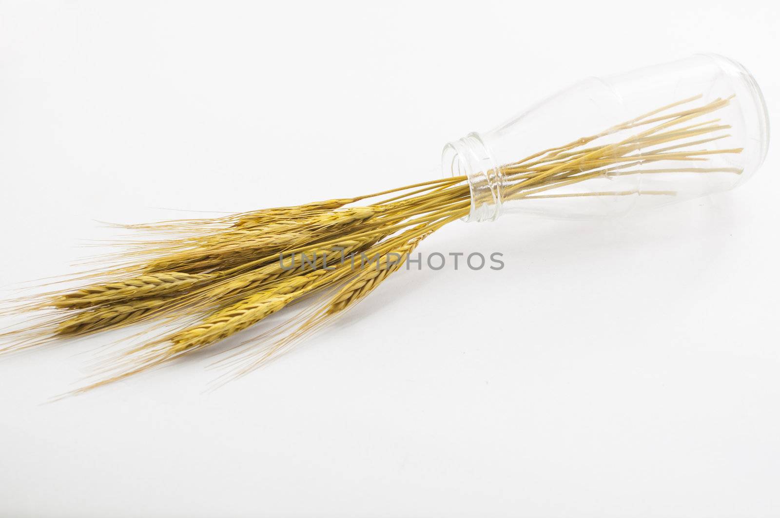 wheat in glass bottle  on  white background by TanawatPontchour