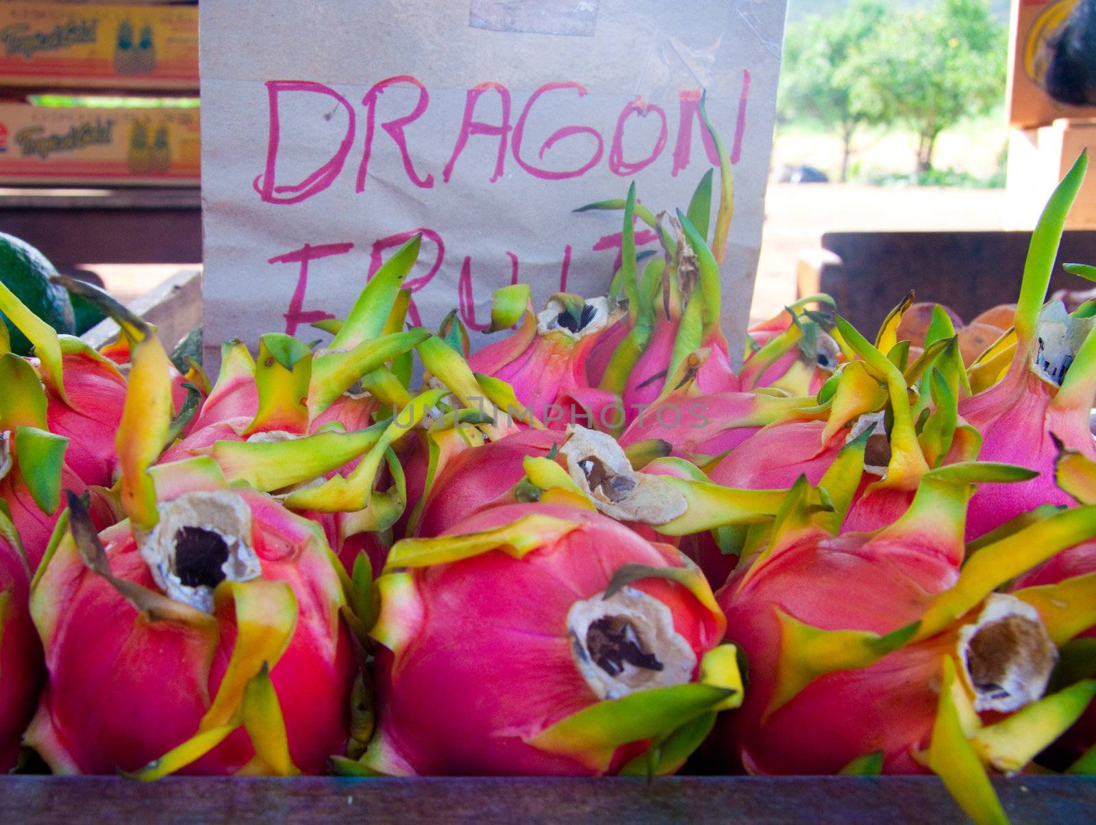 Some dragonfruit is for sale on the north shore of hawaii oahu at a local organic fruitstand.