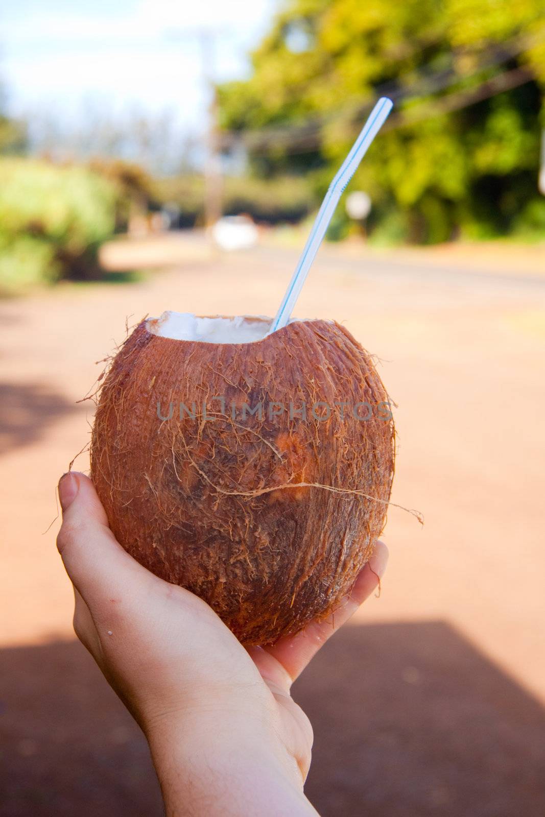 A girl holds out her hand with a coconut and a straw representing a nice cold tropical drink on the north shore of oahu hawaii.