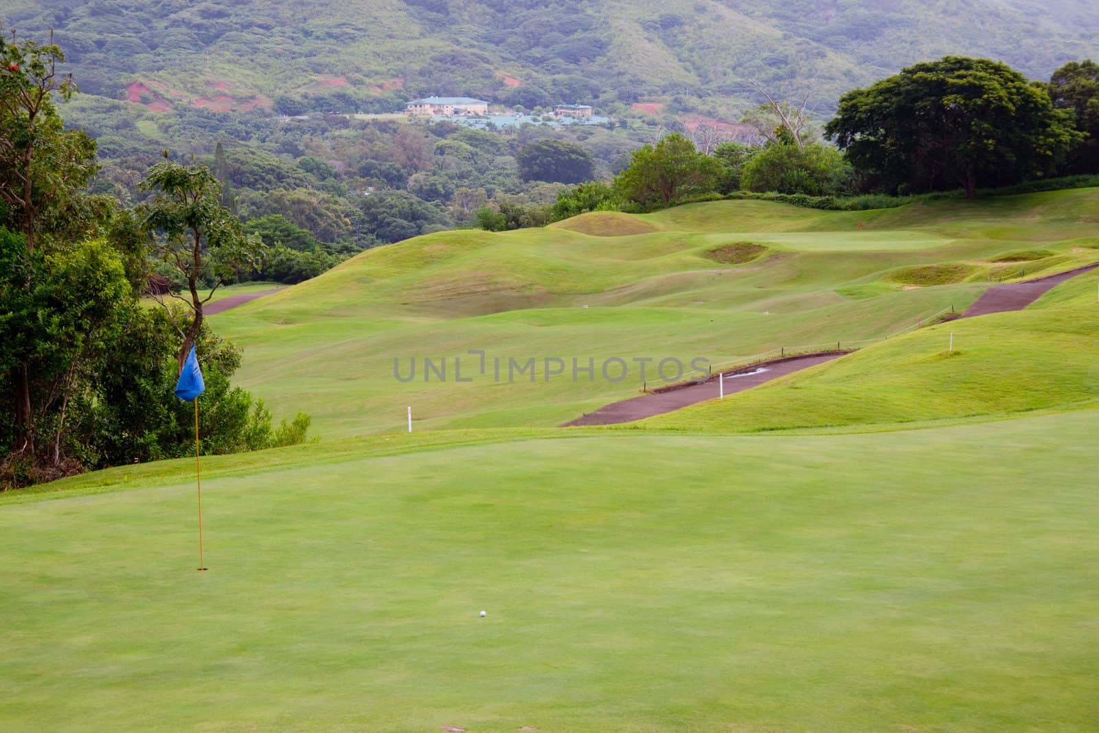 A great tropical golf course on oahu hawaii in the middle of a rainforest with magnificent greens and well manicured fairways.