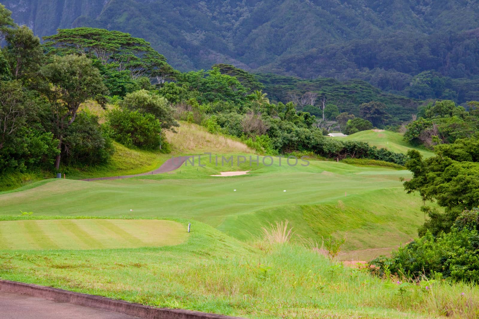 Beautiful Golf Course by joshuaraineyphotography