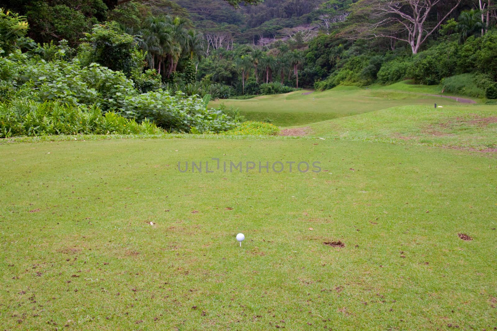 A great tropical golf course on oahu hawaii in the middle of a rainforest with magnificent greens and well manicured fairways.