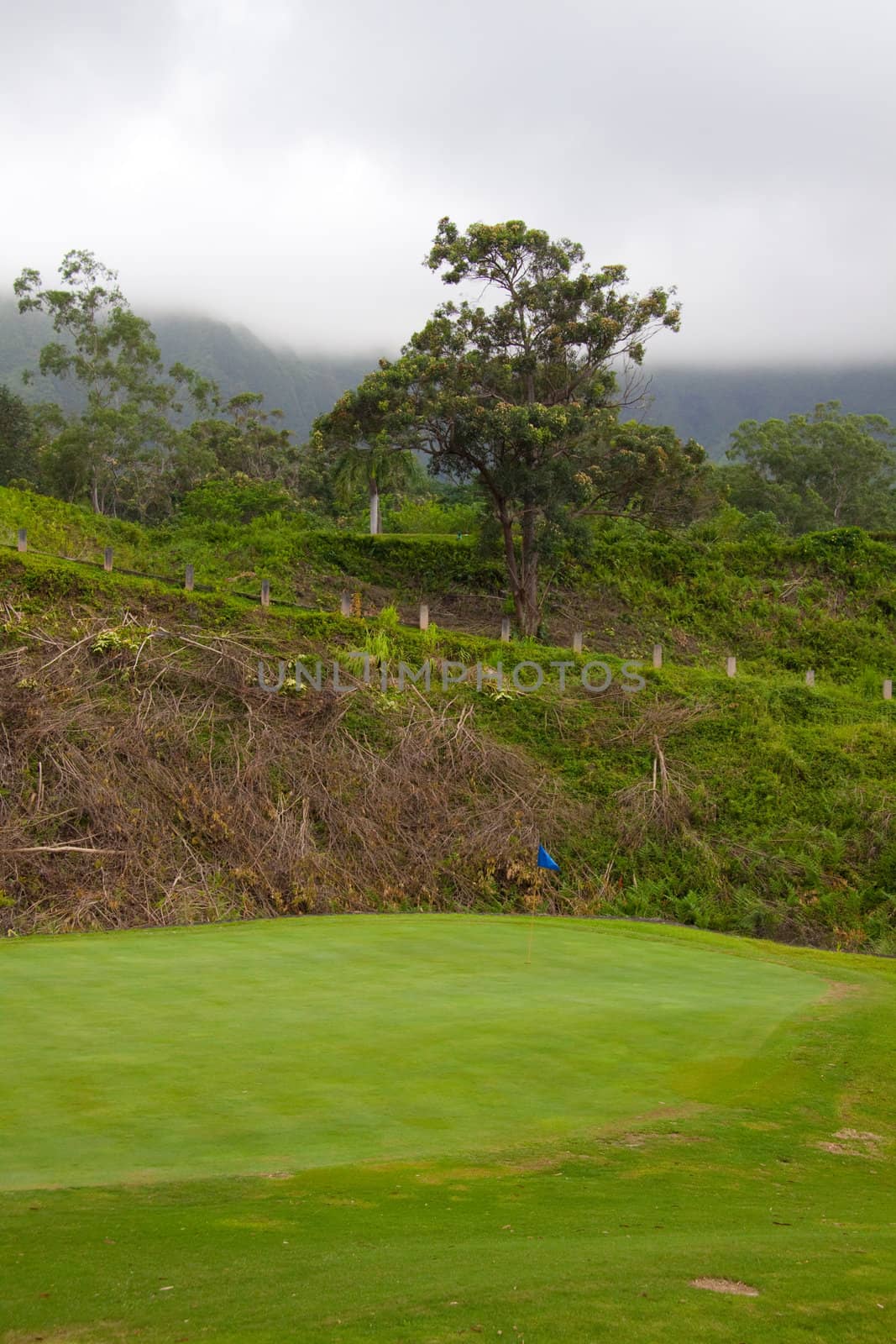 A great tropical golf course on oahu hawaii in the middle of a rainforest with magnificent greens and well manicured fairways.