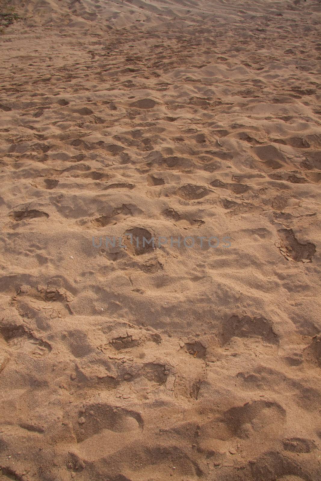 Sand Footprints by joshuaraineyphotography