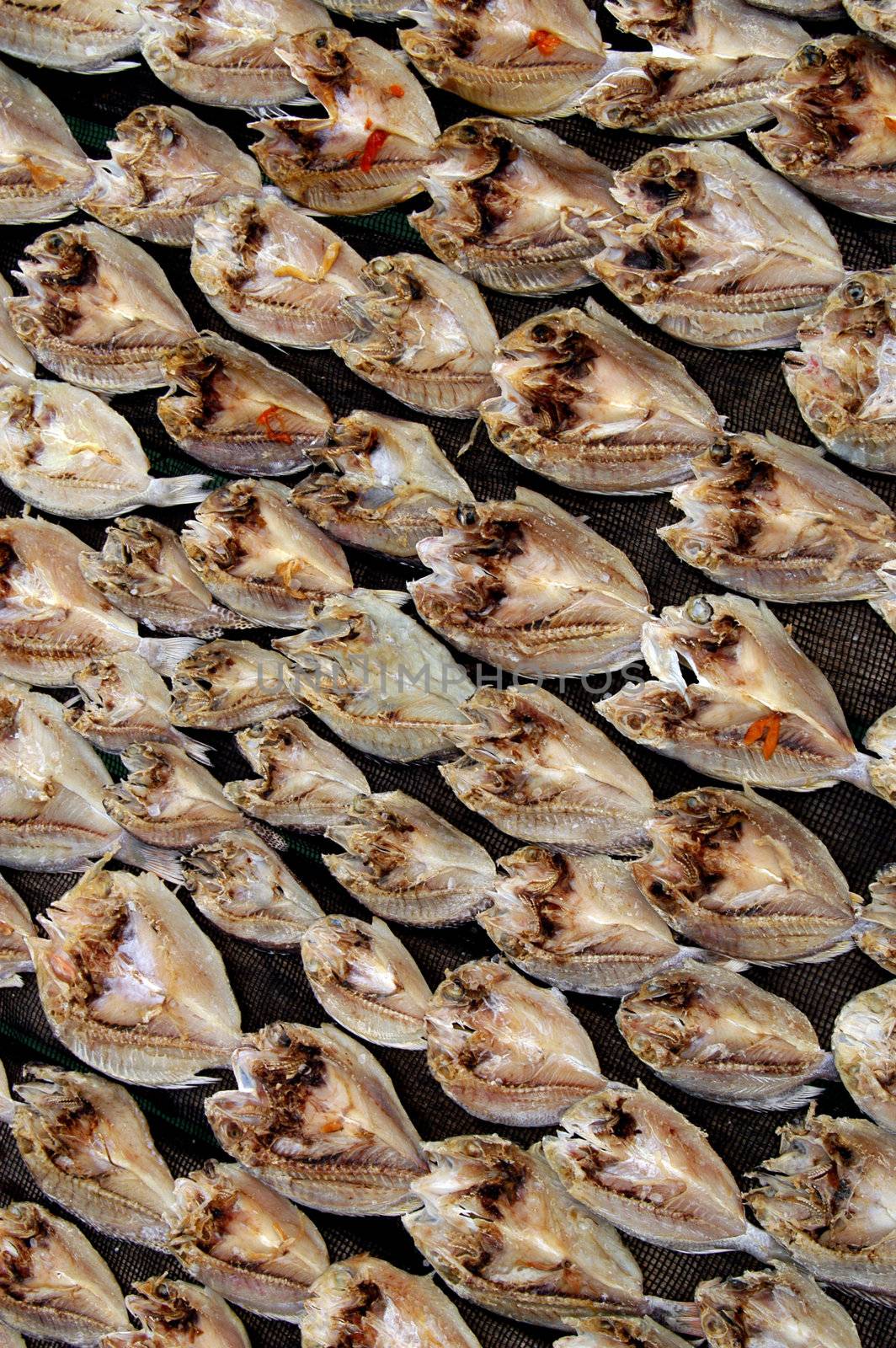 patterns of dried fish background      
