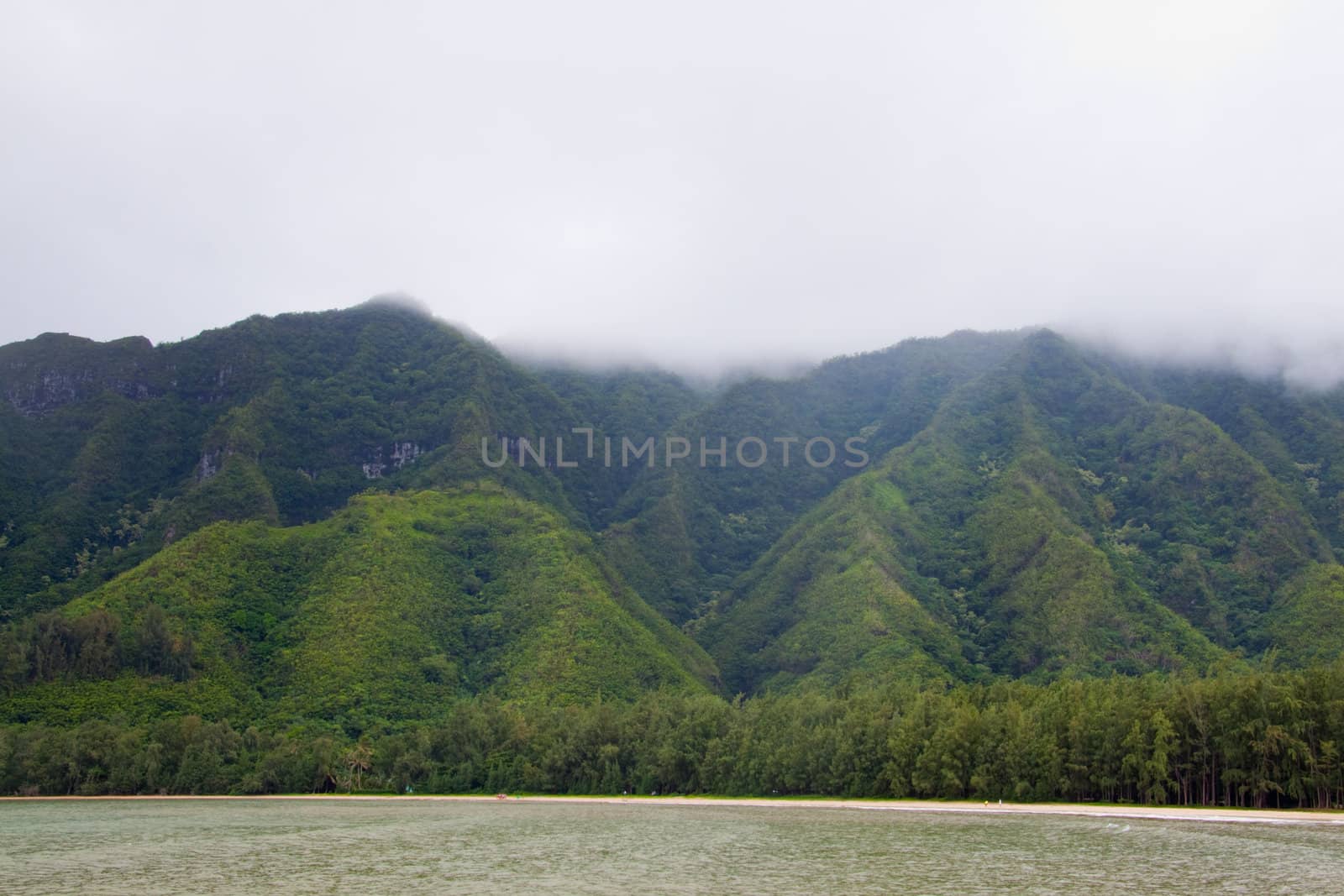 Lush vegetation covers some mountains in oahu hawaii.