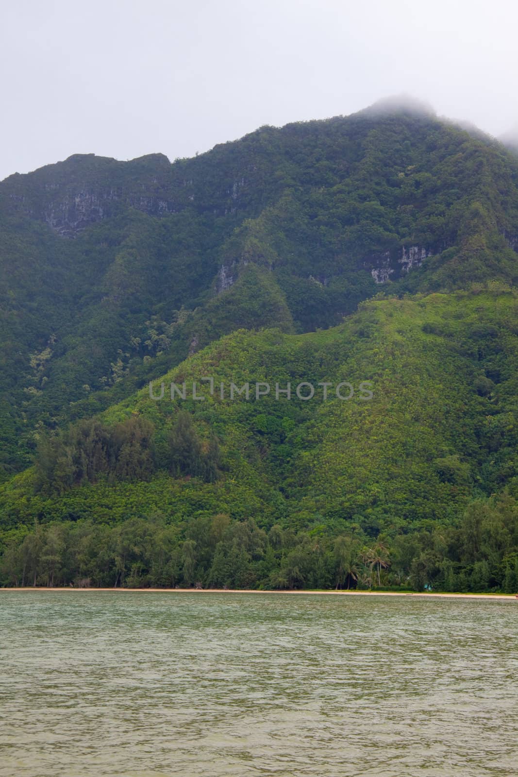 Lush vegetation covers some mountains in oahu hawaii.