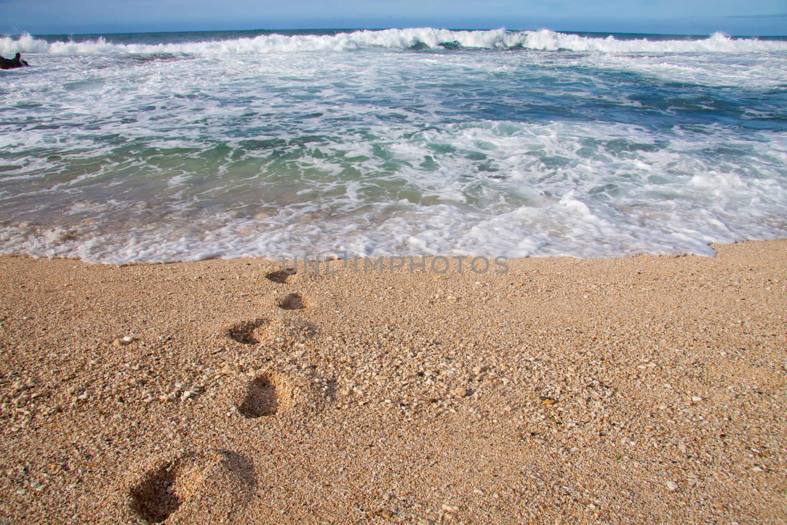 Footprints Leaving Water by joshuaraineyphotography