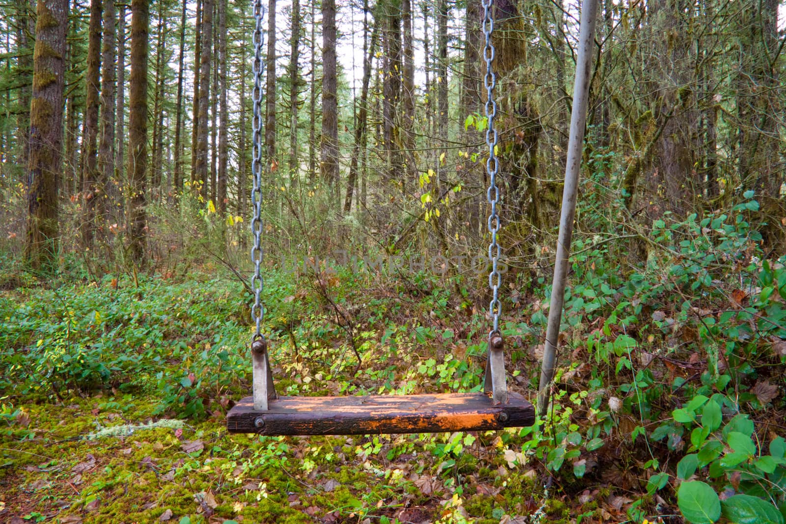 Abandoned Swings by joshuaraineyphotography