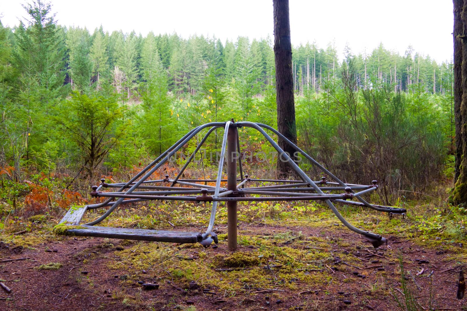 An abandoned merry-go-round in the forest with overgrown vegetation and greenery surrounding it.