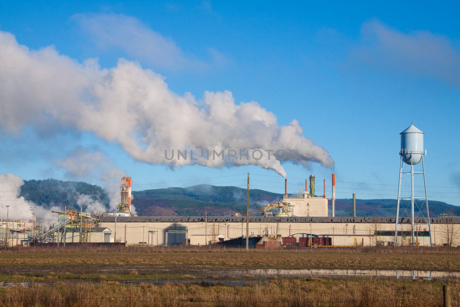 A paper mill in Oregon emits smoke and pollution into the clean air and blue sky overhead.