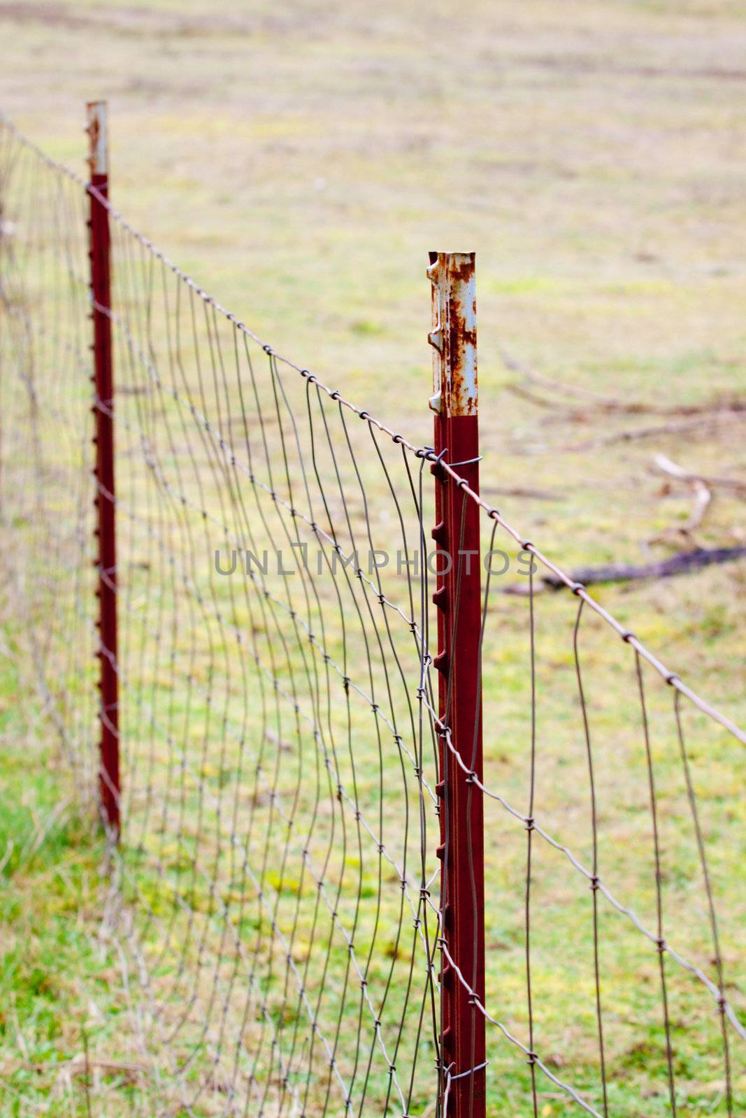Fence Posts by joshuaraineyphotography