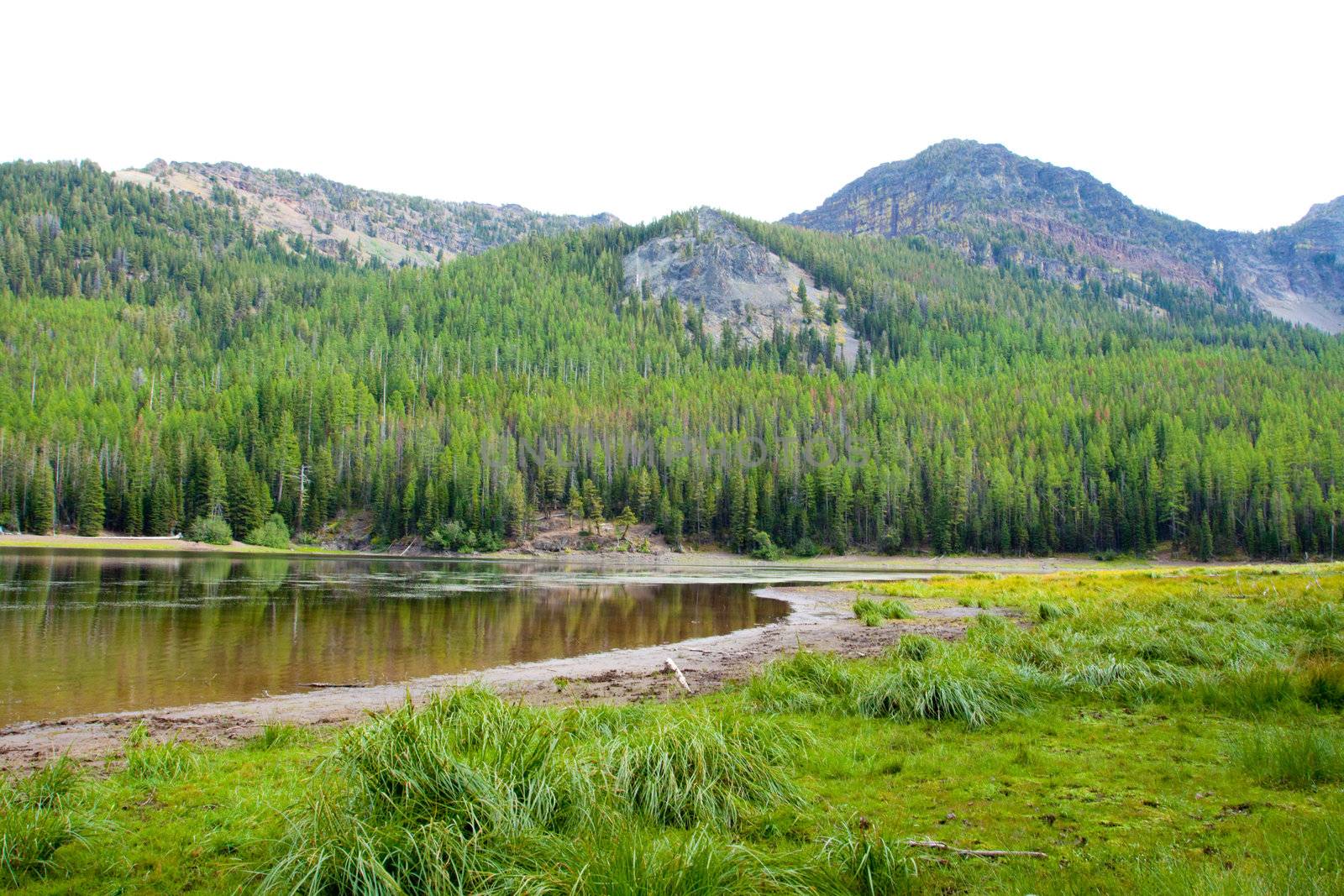 A small high cascade lake in the Strawberry Wilderness in Eastern Oregon.