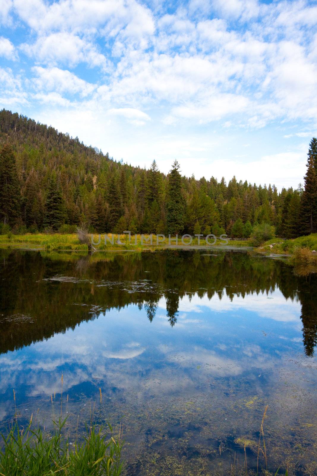 A small pond used to raise trout for fishing sits high in Eastern Oregon located in the Strawberry Wilderness.