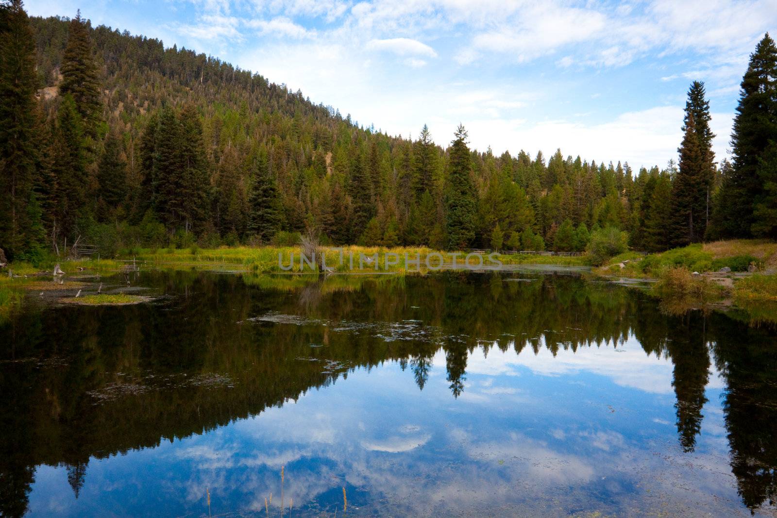 A small pond used to raise trout for fishing sits high in Eastern Oregon located in the Strawberry Wilderness.