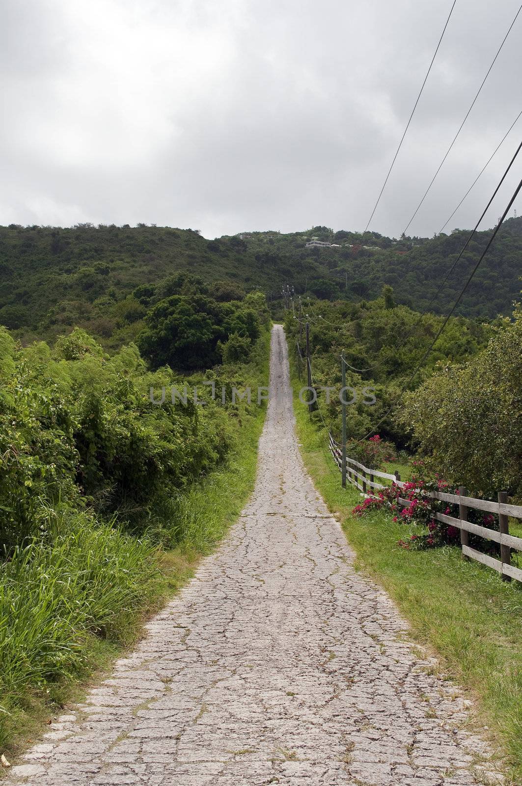 Narrow mountain road in Saint Maarten, Netherlands Antilles.