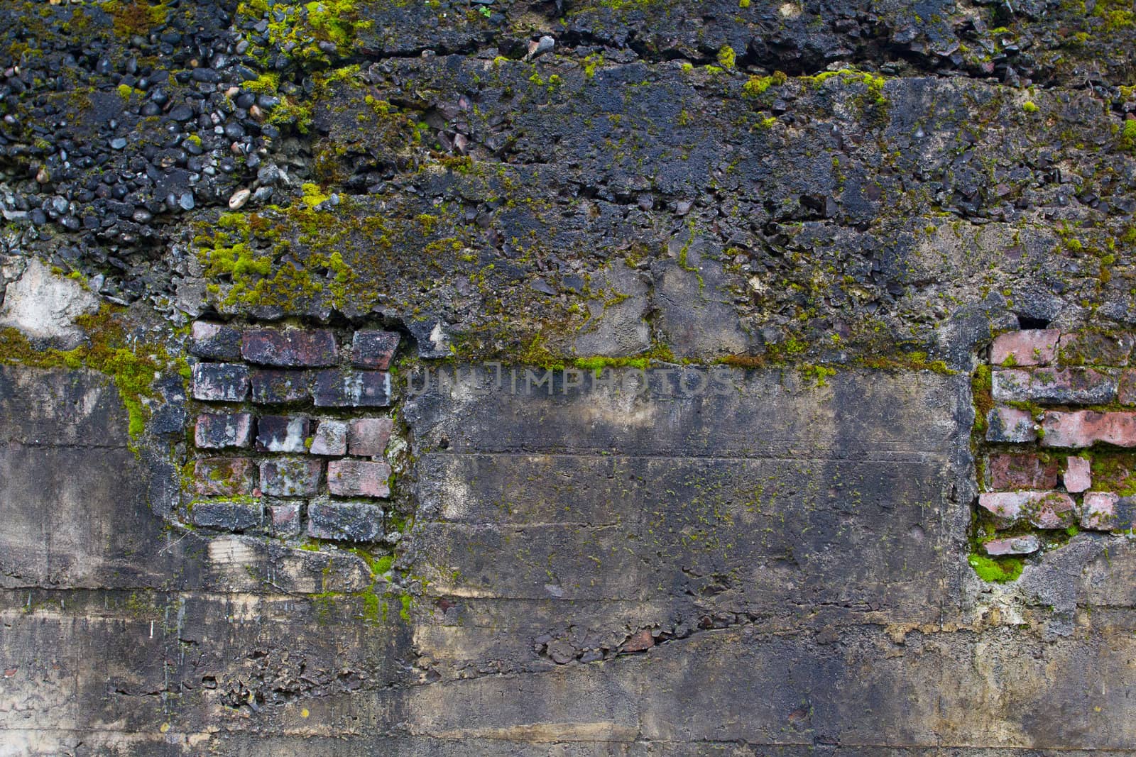 An old decayed brick wall has plants growing on it and pieces of the bricks turning to rubble