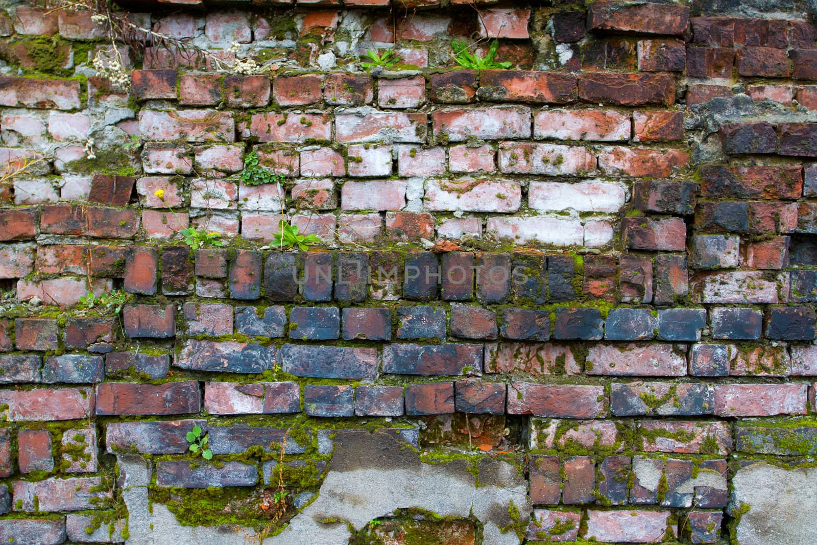 Decaying Bricks by joshuaraineyphotography