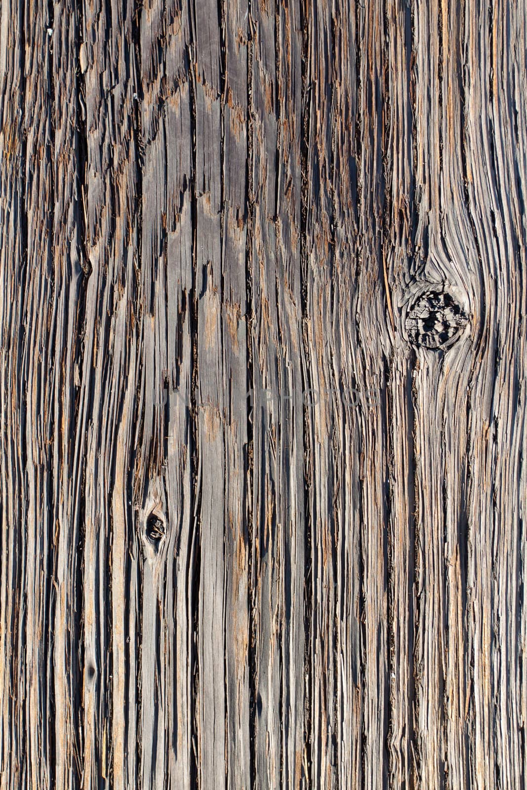 Abstract Wood Texture by joshuaraineyphotography