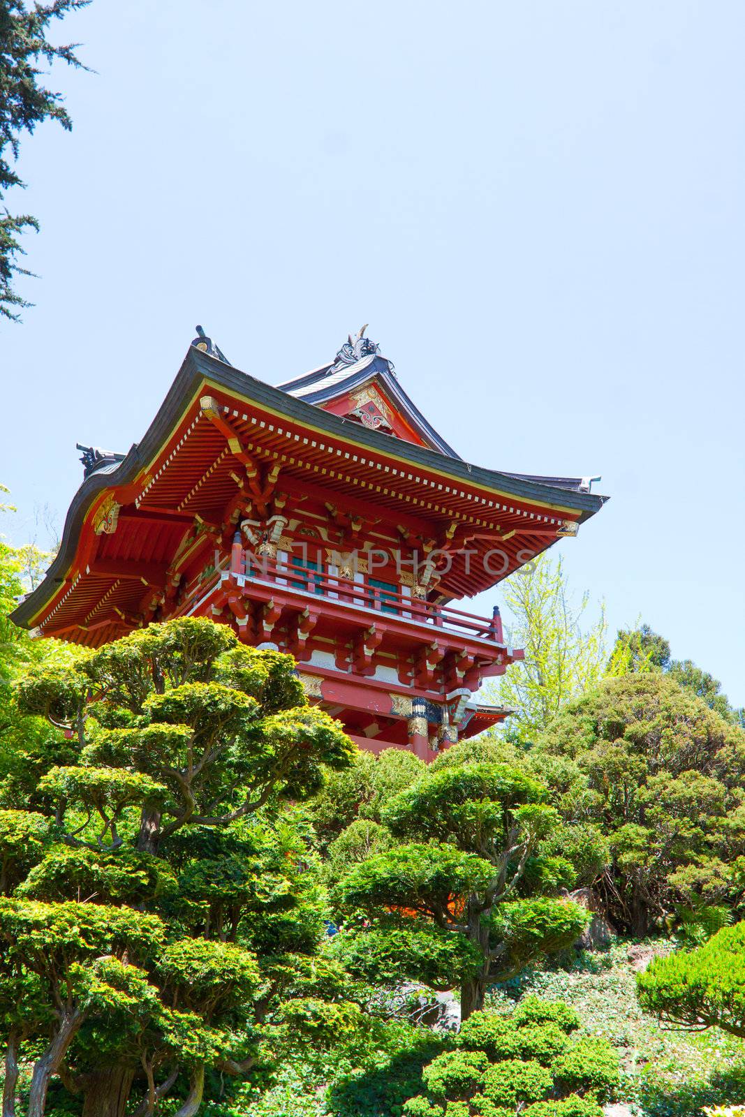 A bright red Japanese pagoda building in a tea garden sits peacefully.