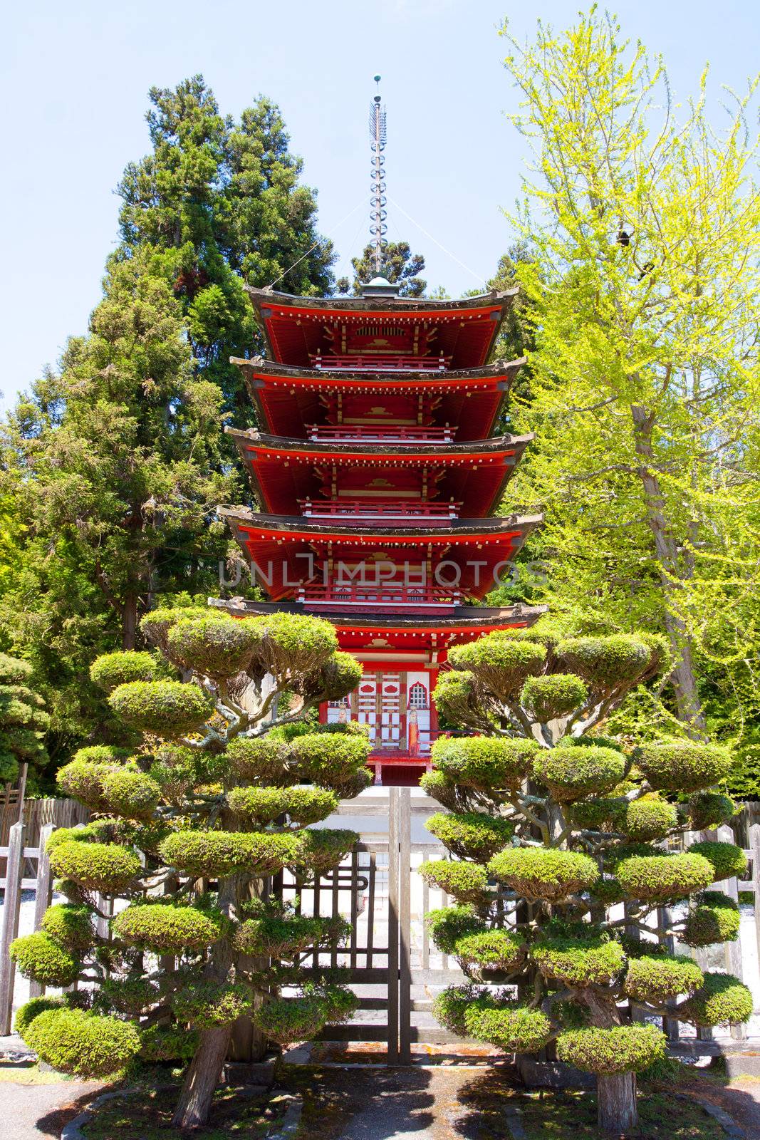 A bright red Japanese pagoda building in a tea garden sits peacefully.