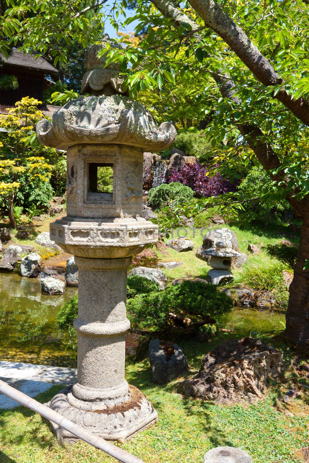 A Japanese tea garden is lush and peaceful in San Francisco.