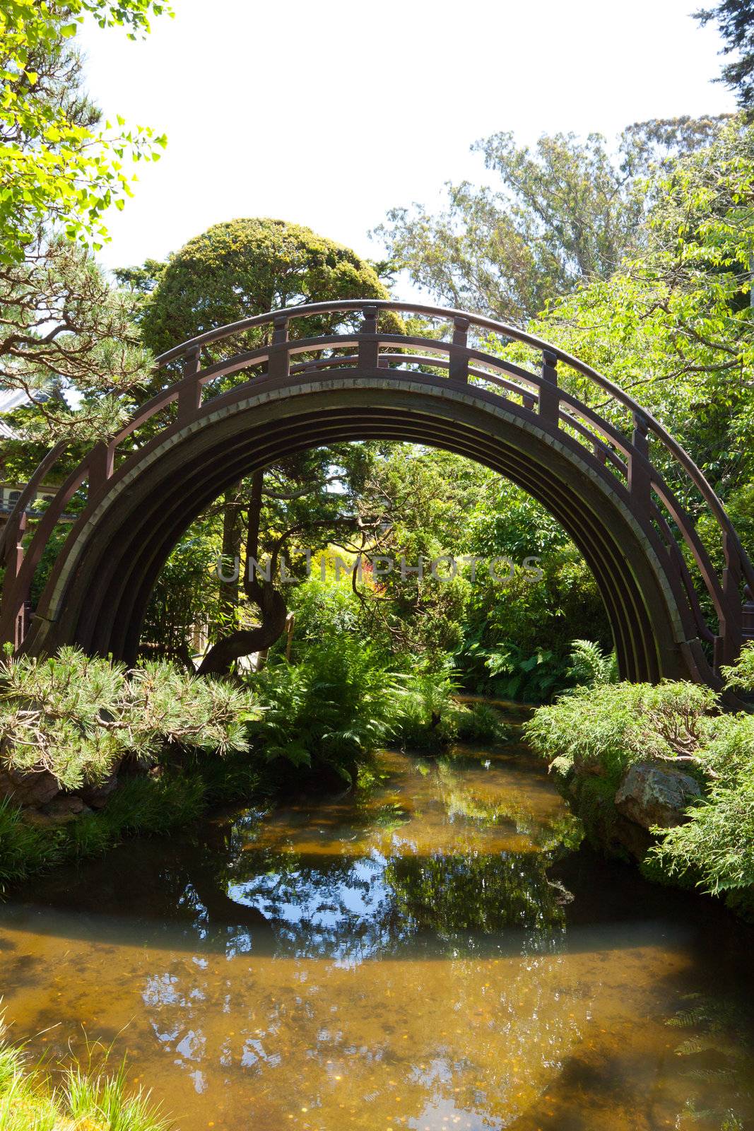 A Japanese tea garden is lush and peaceful in San Francisco.