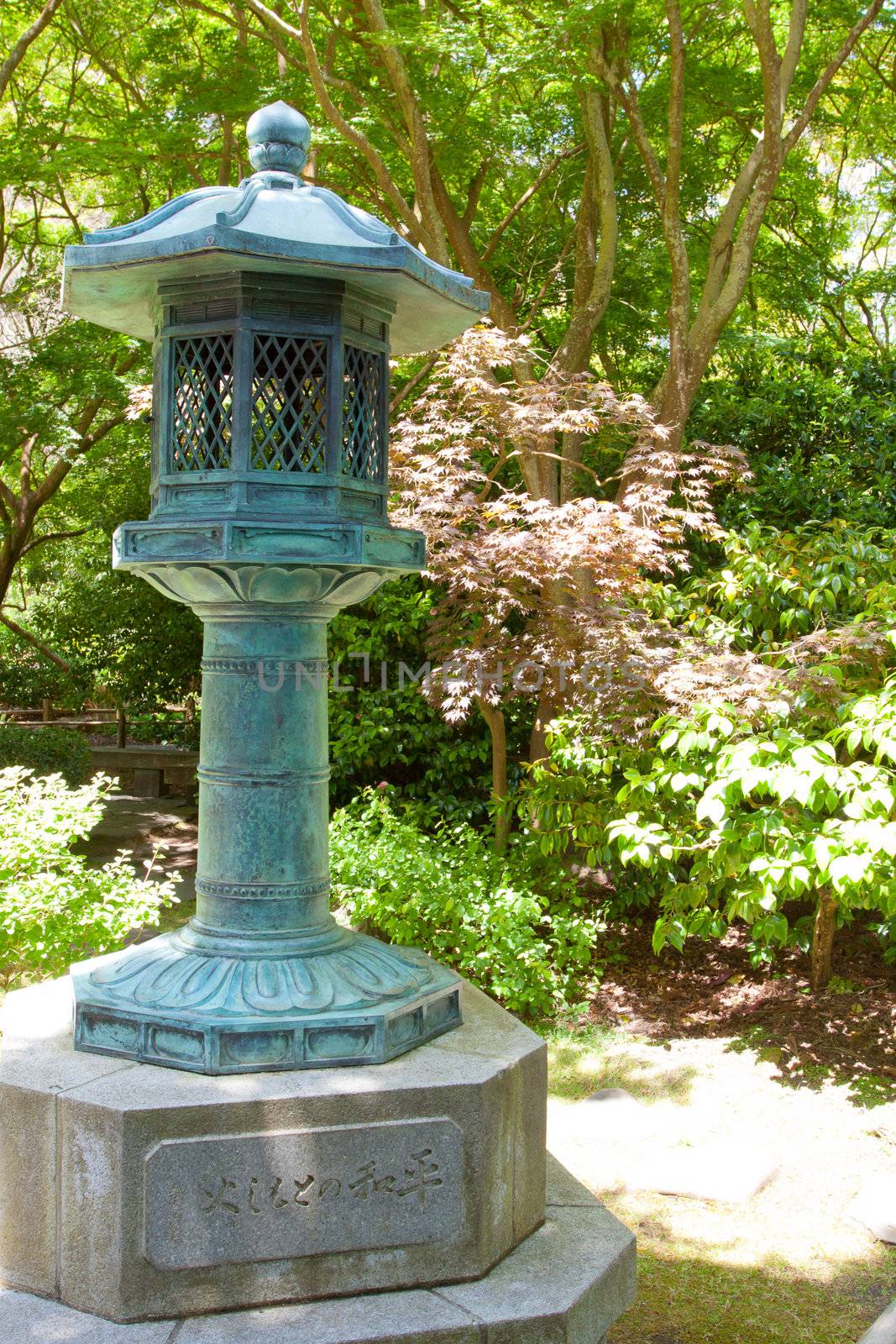 A Japanese tea garden is lush and peaceful in San Francisco.