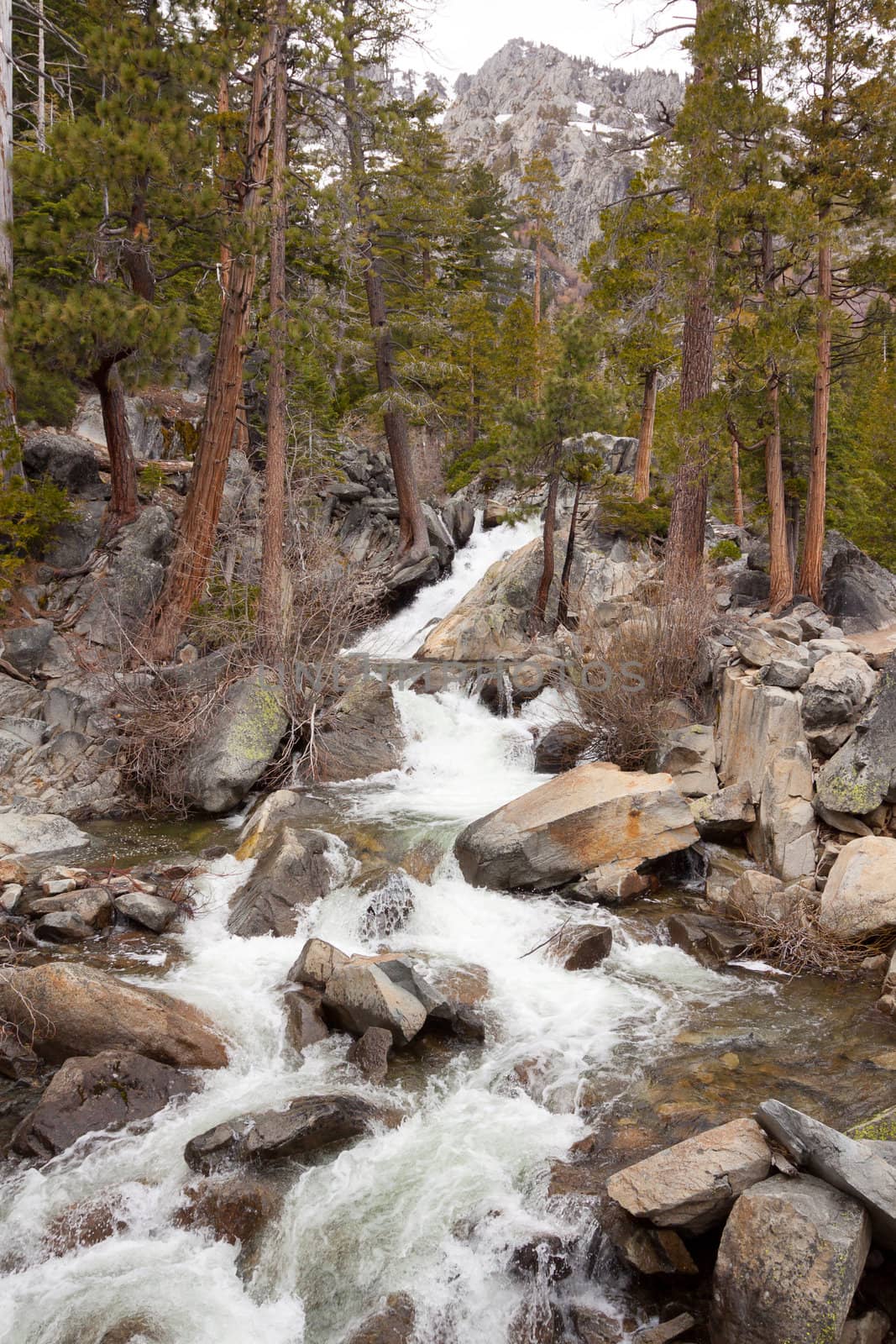 A river flows over some rocks and debris into Lake Tahoe in California.