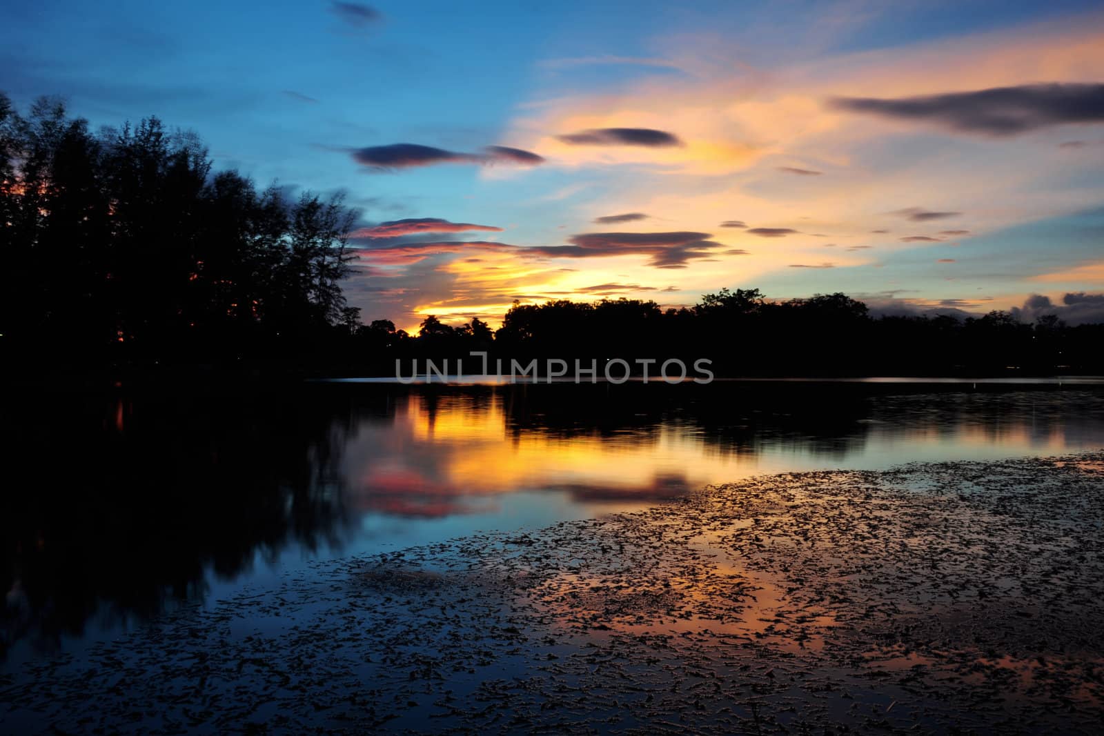 Srimuang Park in yala, thailand