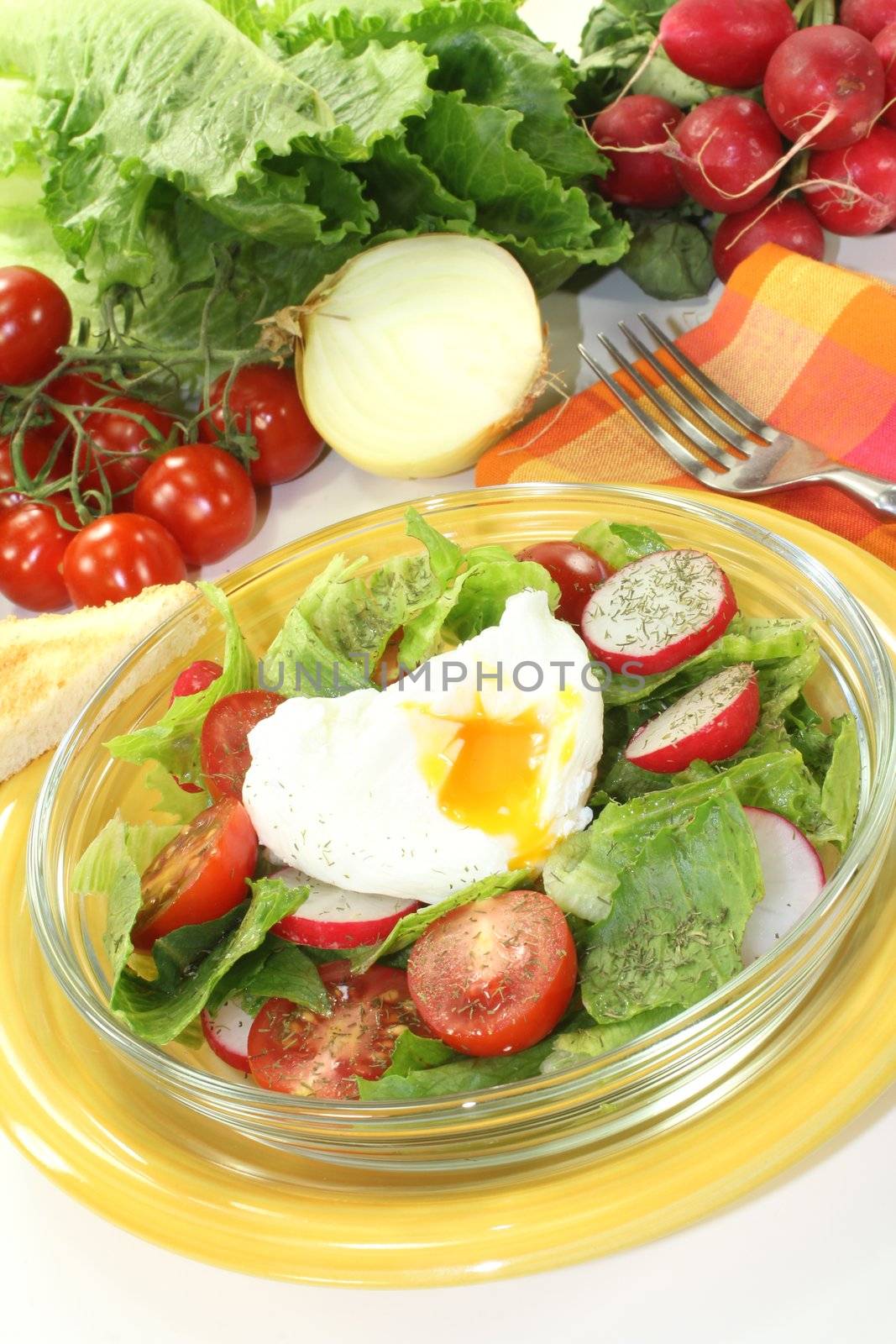 Salad with poached egg, cherry tomatoes, radishes and lettuce