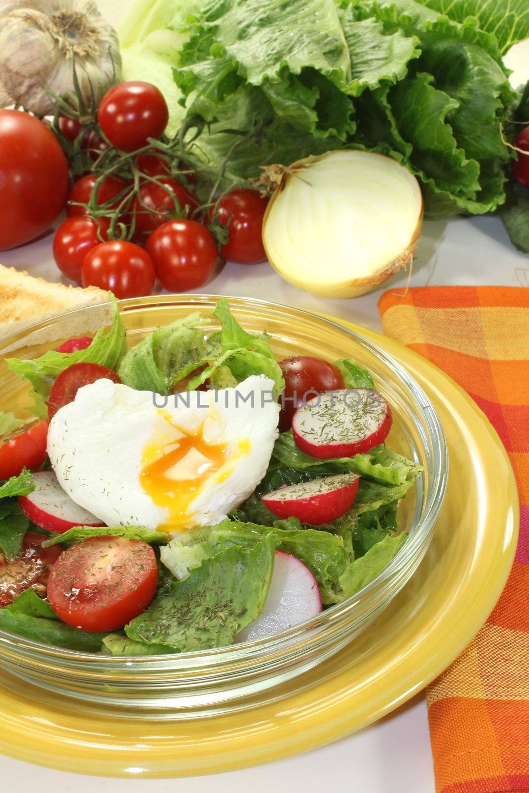 Salad with poached egg and radishes by discovery