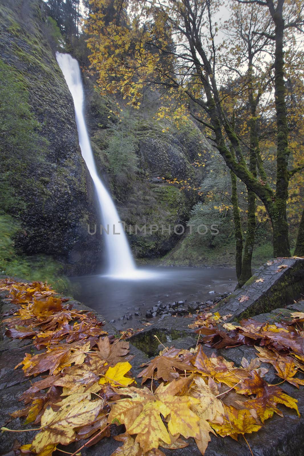 Horsetail Falls Along Columbia River Gorge Oregon in Fall Season