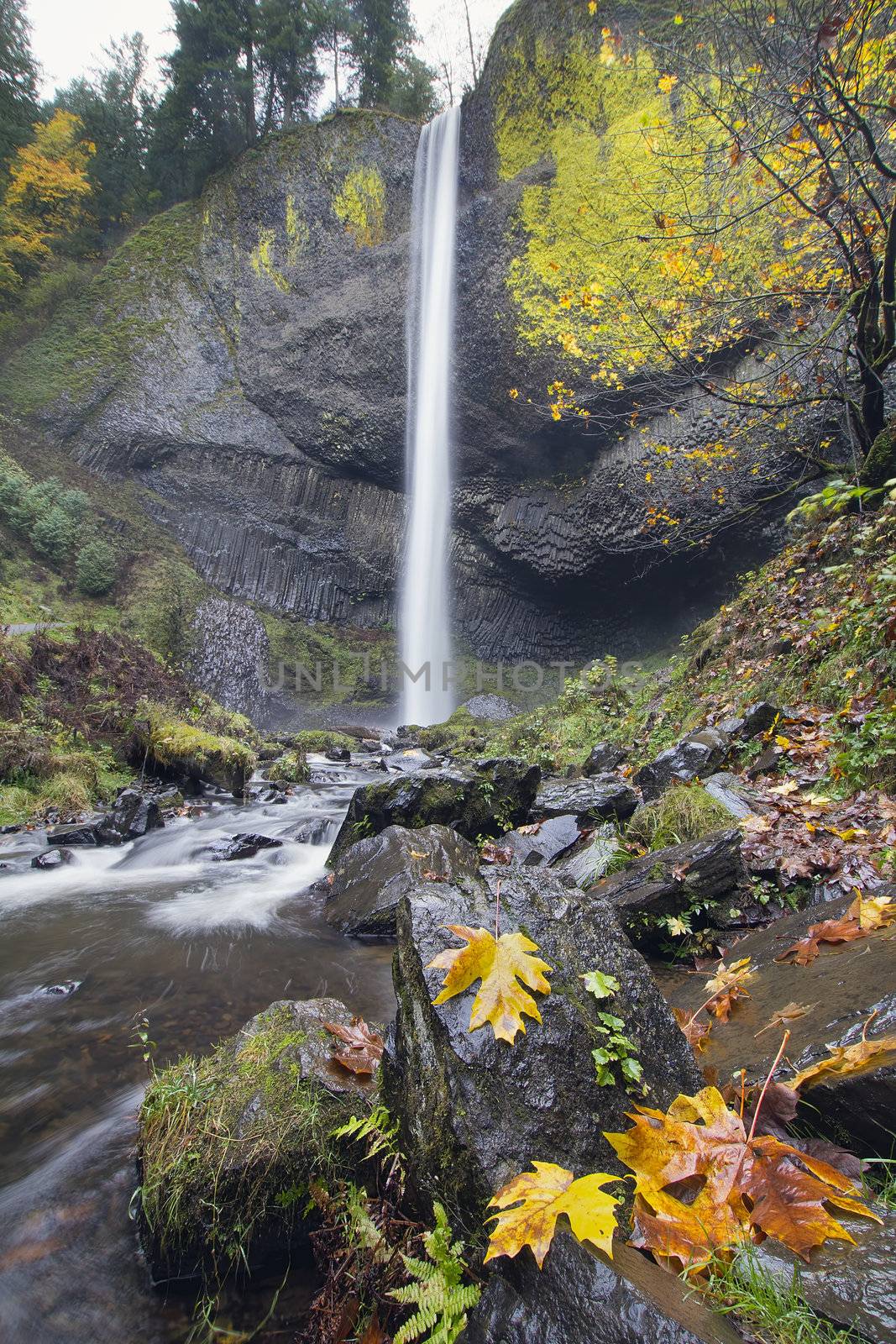 Latourell Falls Along the Columbia River Gorge Historic Highway in Autumn