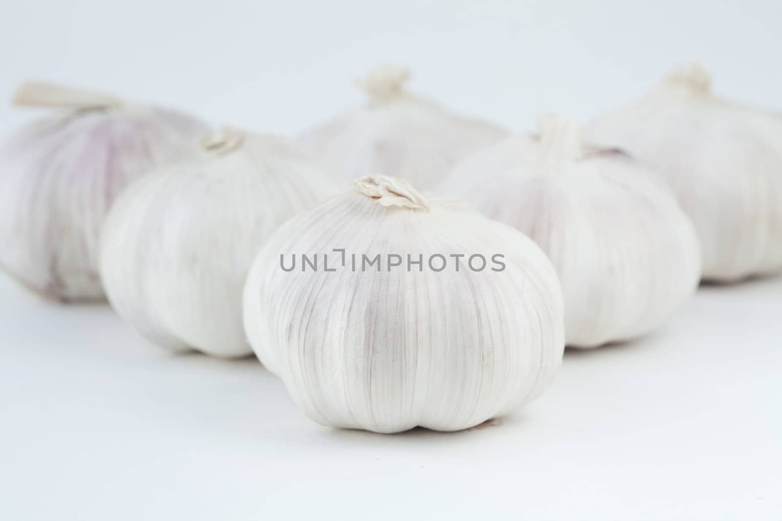 Garlic isolated on white background