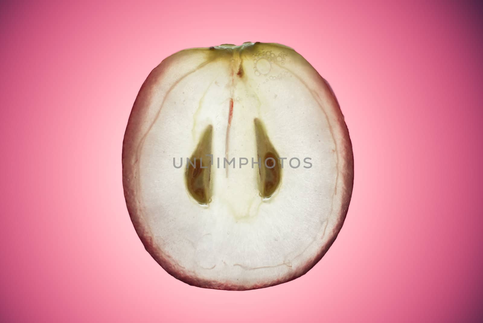 Closeup of slice of red grape fruit on pink gradient background.