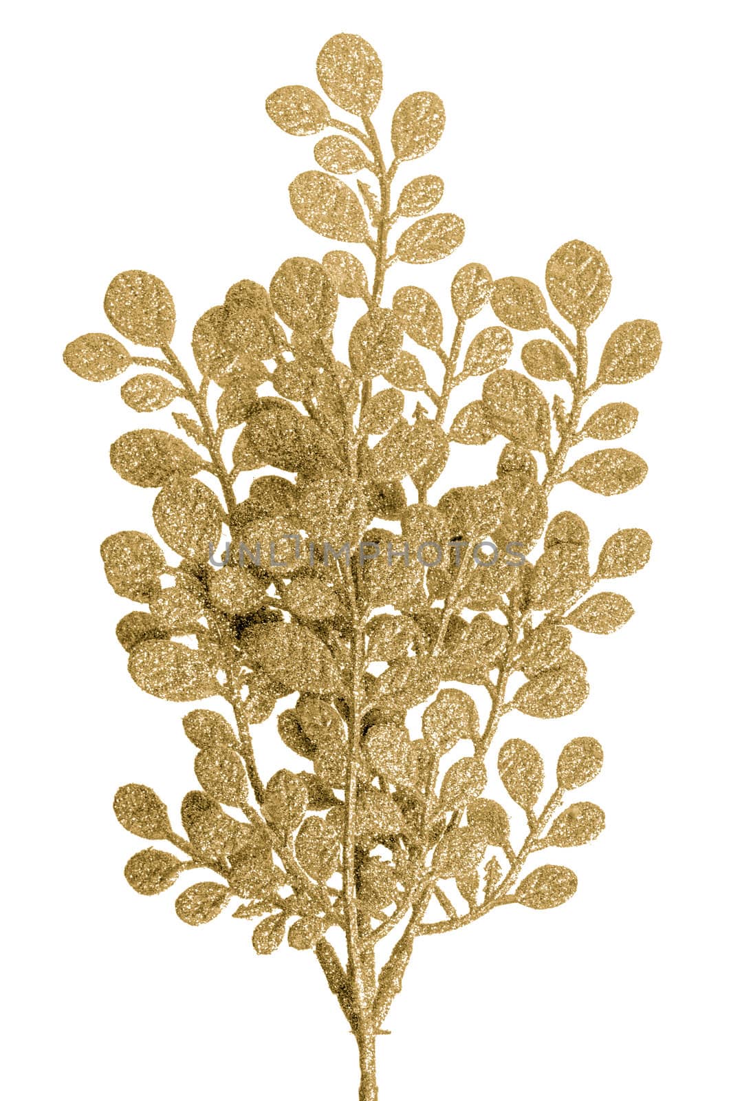 Christmas decorative golden leaves isolated on white background.